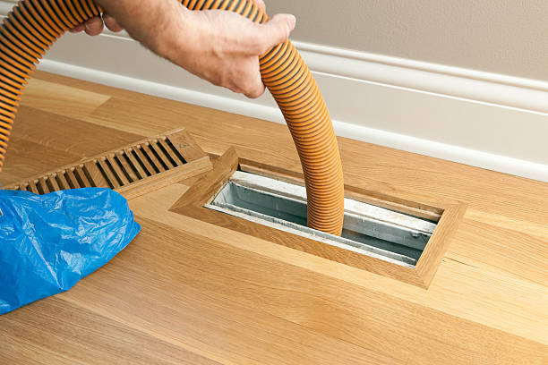 Best HVAC Air Duct Cleaning  in Holly, MI