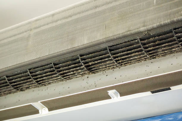 Best Best Air Duct Cleaning Company  in Holly, MI