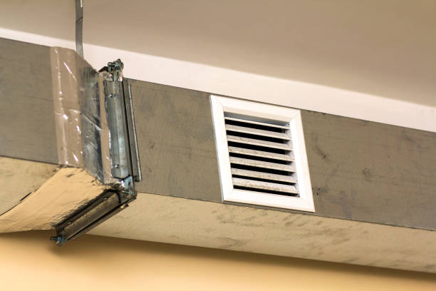 Best Affordable HVAC Duct Cleaning  in Holly, MI